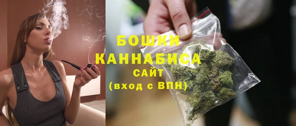 ALPHA PVP Богородицк