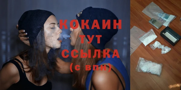 ALPHA PVP Богородицк
