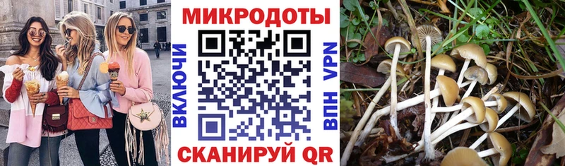 Галлюциногенные грибы мухоморы  Пестово 